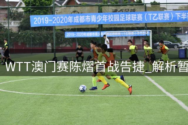 WTT澳门赛陈熠首战告捷 解析暂停战术助胜
